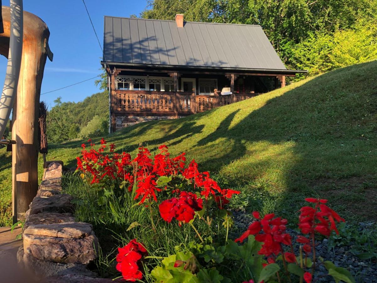 La Noi La Munte Villa Matisesti Eksteriør bilde