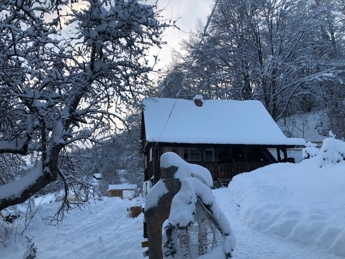 La Noi La Munte Villa Matisesti Eksteriør bilde