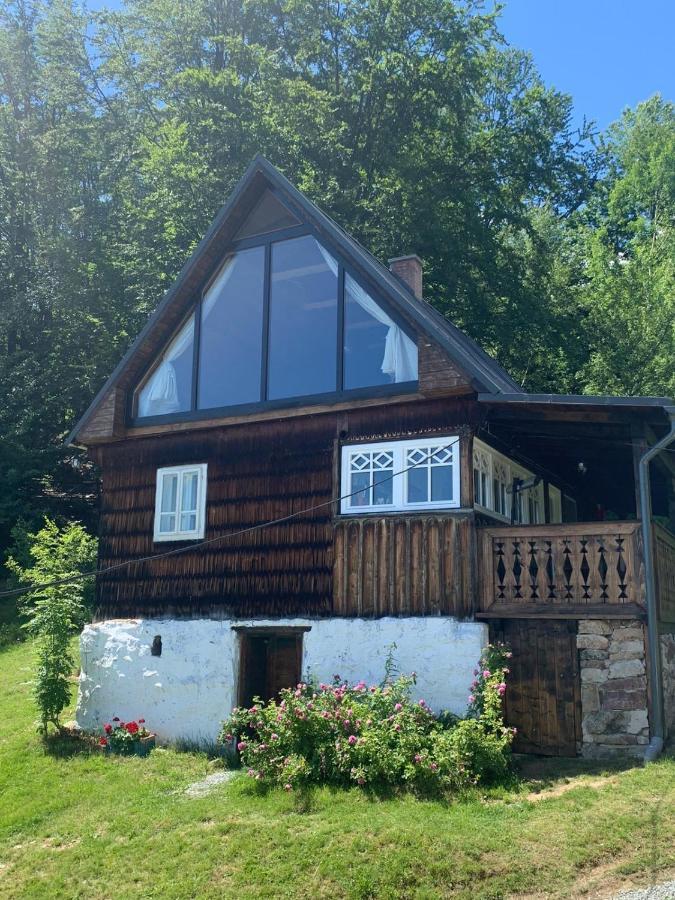 La Noi La Munte Villa Matisesti Eksteriør bilde